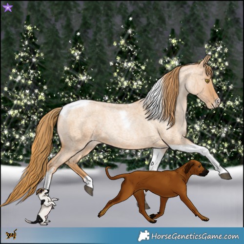 Horse Color:Red Roan Pearl Tobiano Frame 