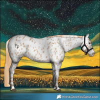 Horse Color:Chestnut Near Leopard 