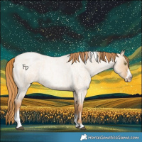 Horse Color:Red Dun Roan Pearl Tobiano Frame 
