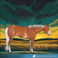Horse Color:White Spotted Silver Bay Splash 