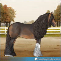 Horse Color:Buckskin Tobiano 