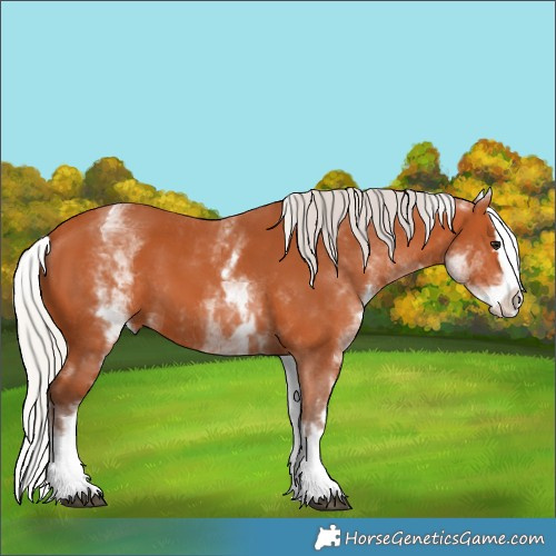 Horse Color:White Spotted Silver Bay Splash 