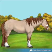 Horse Color:Unknown 