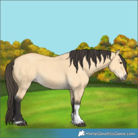 Horse Color:Unknown 