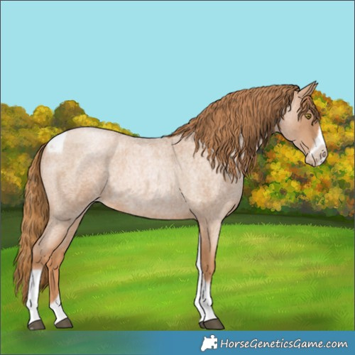 Horse Color:Red Roan Pearl Tobiano Frame 