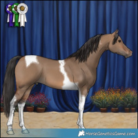 Horse Color:Brown Dun Tobiano 