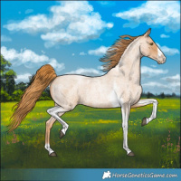 Horse Color:Red Roan Pearl Tobiano Frame 