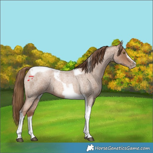 Horse Color:Liver Red Roan Pearl Tobiano Frame 
