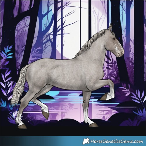 Horse Color:Silver Blue Roan Sabino Appaloosa 