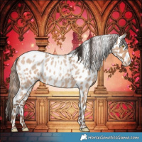 Horse Color:Amber Champagne Roan Leopard 