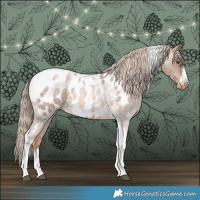 Horse Color:Liver Red Roan Pearl Tobiano Frame Near Leopard 