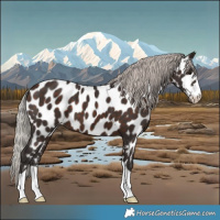 Horse Color:Silver Brown Near Leopard