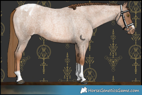Horse Color:Liver Red Roan Pearl Tobiano Frame Blanket 