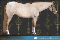 Horse Color:Liver Red Roan Pearl Tobiano Frame Blanket