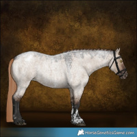 Horse Color:Liver Red Dun Roan Sabino Blanket Rabicano 