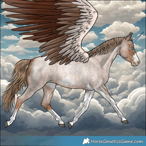 Horse Color:Liver Red Roan Pearl Tobiano Frame 