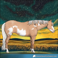 Horse Color:Silver Amber Champagne Frame