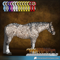 Horse Color:Brown Dun Sabino Tobiano Appaloosa Brindle 