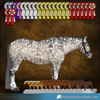 Horse Color:Brown Dun Sabino Tobiano Appaloosa Brindle 