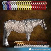 Horse Color:Brown Dun Sabino Tobiano Appaloosa Brindle 