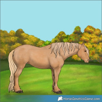 Horse Color:Chestnut Varnish 
