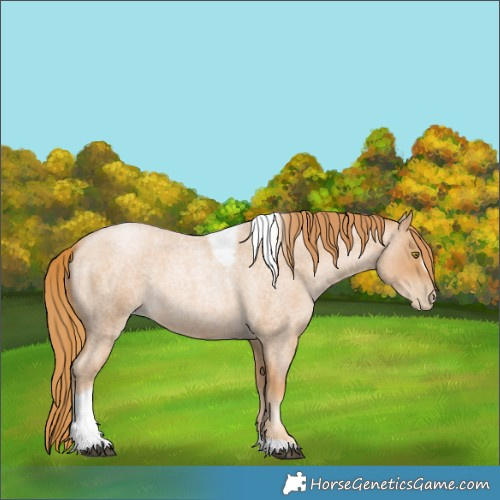 Horse Color:Red Roan Pearl Tobiano Frame 
