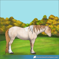 Horse Color:Red Roan Pearl Tobiano Frame 