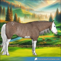 Horse Color:Silver Bay Dun Splash Varnish Rabicano 