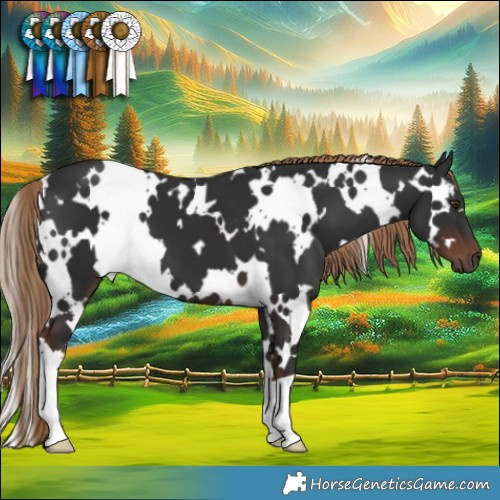 Horse Color:White Spotted Liver Chestnut 