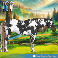 Horse Color:White Spotted Liver Chestnut 
