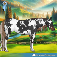 Horse Color:White Spotted Liver Chestnut