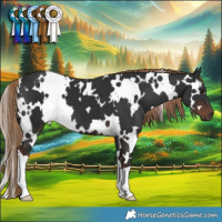 Horse Color:White Spotted Liver Chestnut 