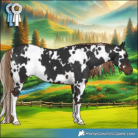 Horse Color:White Spotted Liver Chestnut