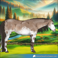 Horse Color:White Spotted Liver Red Dun Ice Splash 
