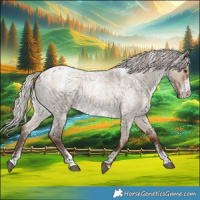 Horse Color:Powder White Silver Brown Roan Dun Brindle 
