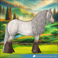 Horse Color:Silver Bay Roan Dun Rabicano 