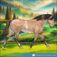 Horse Color:Powder White Bay Dun Brindle 
