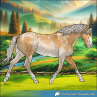 Horse Color:Powder White Silver Buckskin Dun Rabicano