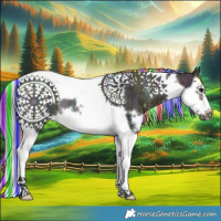 Horse Color:Painted White Spotted Midnight Buckskin Ice Splash Tobiano Frame Rabicano