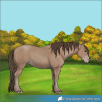 Horse Color:Classic Champagne 