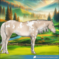 Horse Color:White Spotted Chocolate Palomino Pearl Mushroom Rabicano 