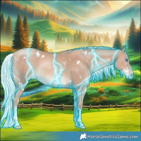 Horse Color:Thunderstruck White Spotted Gold Champagne Mushroom Sabino Rabicano 