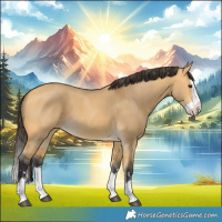 Horse Color:Buckskin Dun Splash 