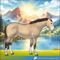 Horse Color:Buckskin Dun Splash 
