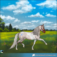 Horse Color:Silver Brown Roan Tobiano 
