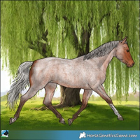 Horse Color:Silver Brown Roan Tobiano 