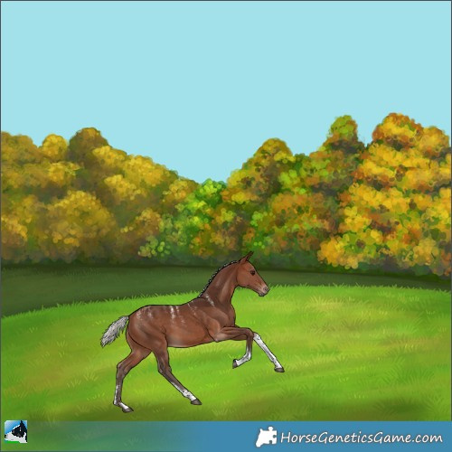 Horse Color:Powder White Silver Brown Tobiano 