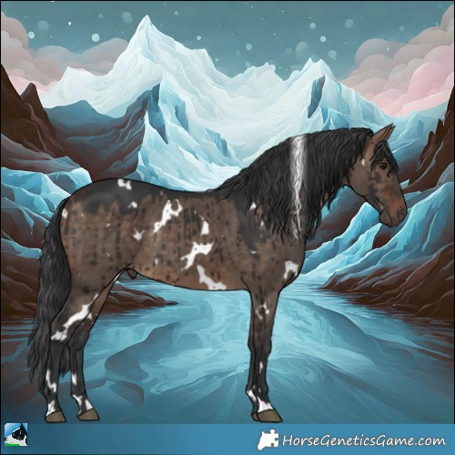 Horse Color:White Spotted Bay Dun Rabicano Brindle
