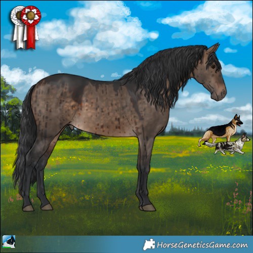 Horse Color:Brown Dun Rabicano Brindle 