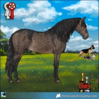 Horse Color:Brown Dun Rabicano Brindle 